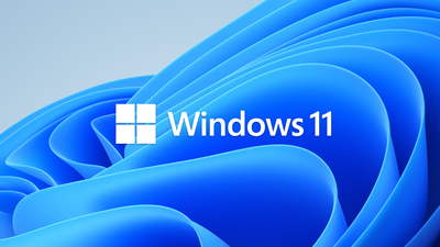 Windows 10/11